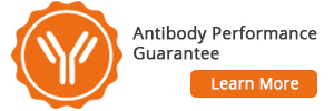 Antibody Performance Guarantee banner